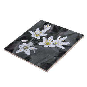 Wildflower Cluster Macro Photo Ceramic Tiles