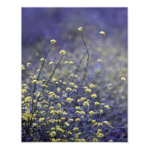 Wildflower Dance Photo Print