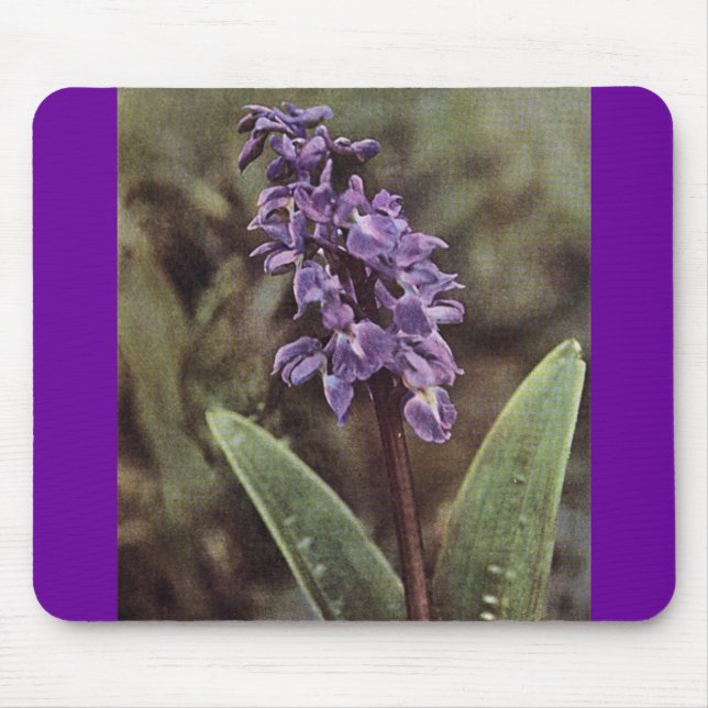Wildflower: Early Purple Orchids Mouse Pad (Front)