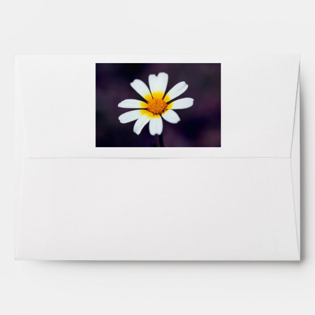 Wildflower Envelope (Back (Top Flap))
