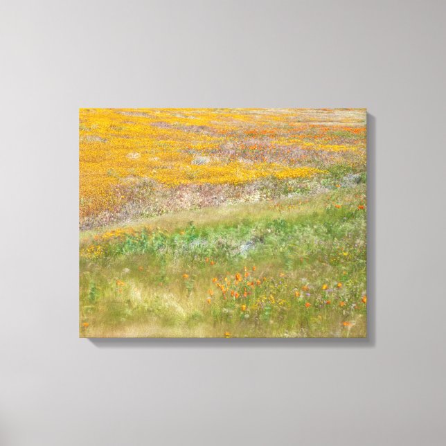 Wildflower Field Canvas Print (Front)