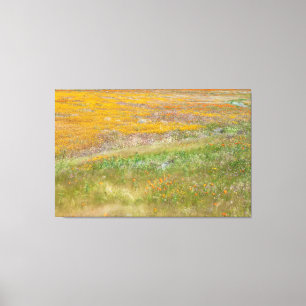 Wildflower Field Canvas Print