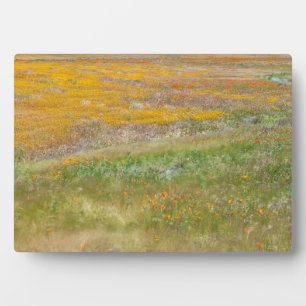 Wildflower Field Plaque
