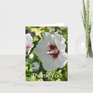 Wildflower Hibiscus, Thank You Card