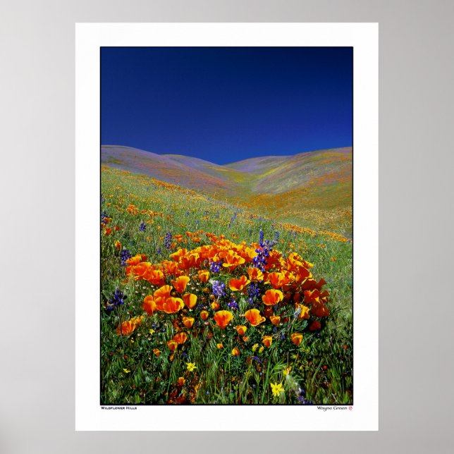 Wildflower Hills Poster (Front)