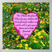 WILDFLOWER JEREMIAH 29:11 PHOTO