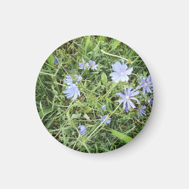 Wildflower Magnet (Front)