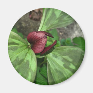 Wildflower Magnet