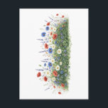 Wildflower meadow botanical garden flowers postcard<br><div class="desc">Natural wildflower meadow with delicate botanical blossoms. A colorful mix of meadow flowers and daisies creates a lively spring nature scene inspired by blooming fields.</div>