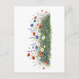 Wildflower meadow botanical garden flowers postcard