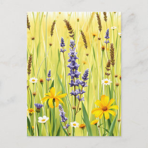 Wildflower Meadow Summer Pattern Postcard