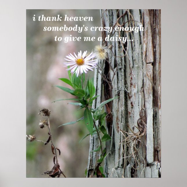 Wildflower Poster - 16 x 20 (Front)