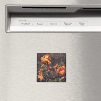 Wildflower: Wallflower Magnet