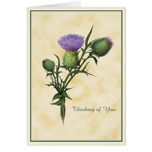 Wildflower Wishes (Front)