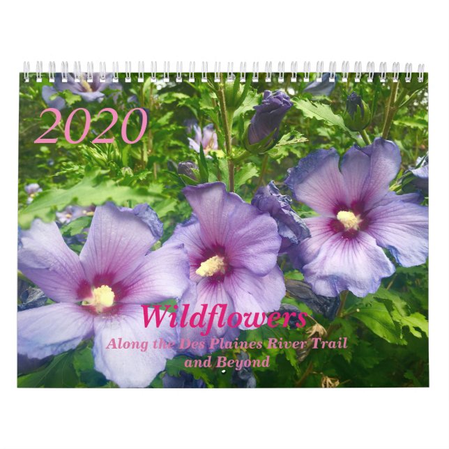 Wildflowers 2020 Calendar (Cover)