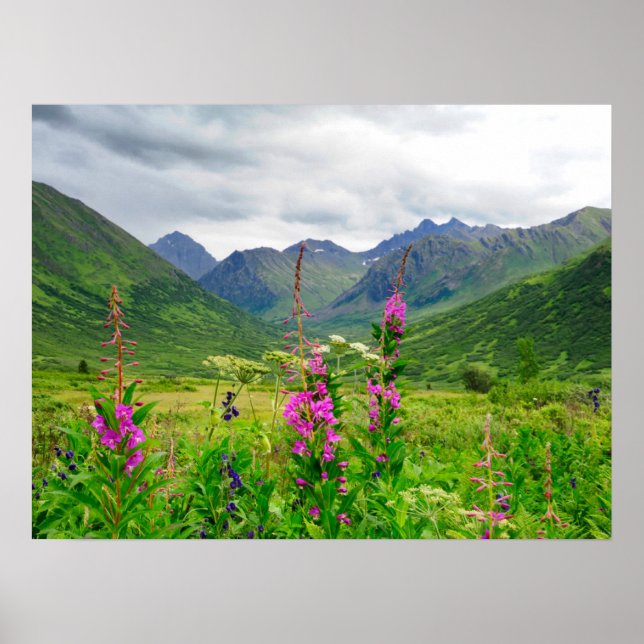Wildflowers Alaskan Valley Poster (Front)
