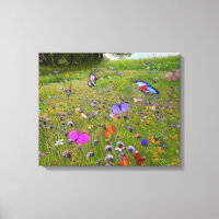 Wildflowers and Butterflies in the Country