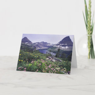 Wildflowers and Hidden Lake, Shrubby Card