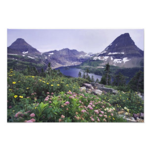 Wildflowers and Hidden Lake, Shrubby Photo Print