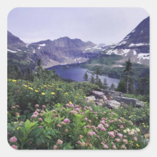 Wildflowers and Hidden Lake, Shrubby Square Sticker