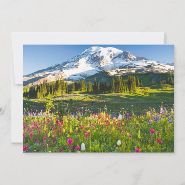 Wildflowers and Hiker (Front)