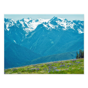 Wildflowers and Mountains Photo Print