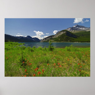 Wildflowers and Mountains Poster