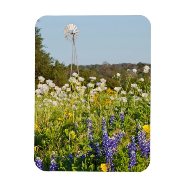 Wildflowers And Windmill In Texas Hill Country Magnet (Vertical)
