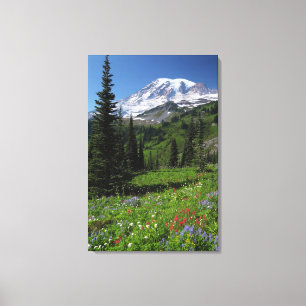 Wildflowers at Mount Rainier Canvas Print