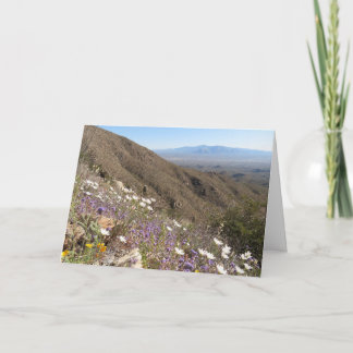 Wildflowers at Saguaro National Park I Card