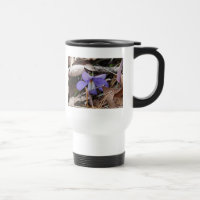 WildFlowers Birds-Foot Violet Hot Springs AR Gifts