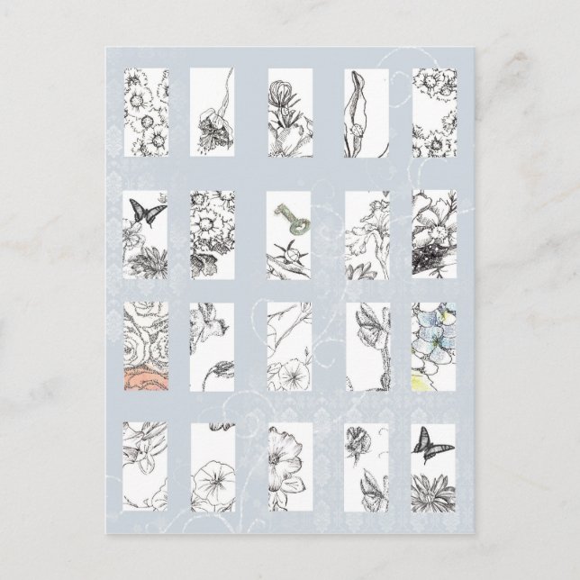 Wildflowers Black Ink Pen Sketches Botanical Art Postcard (Front)