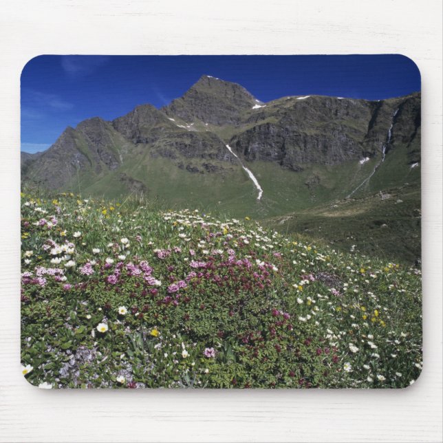 Wildflowers, blooming, Alps, Switzerland Mouse Pad (Front)