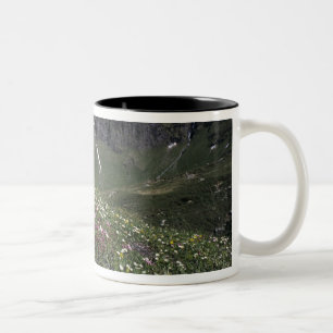 Wildflowers, blooming, Alps, Switzerland Two-Tone Coffee Mug