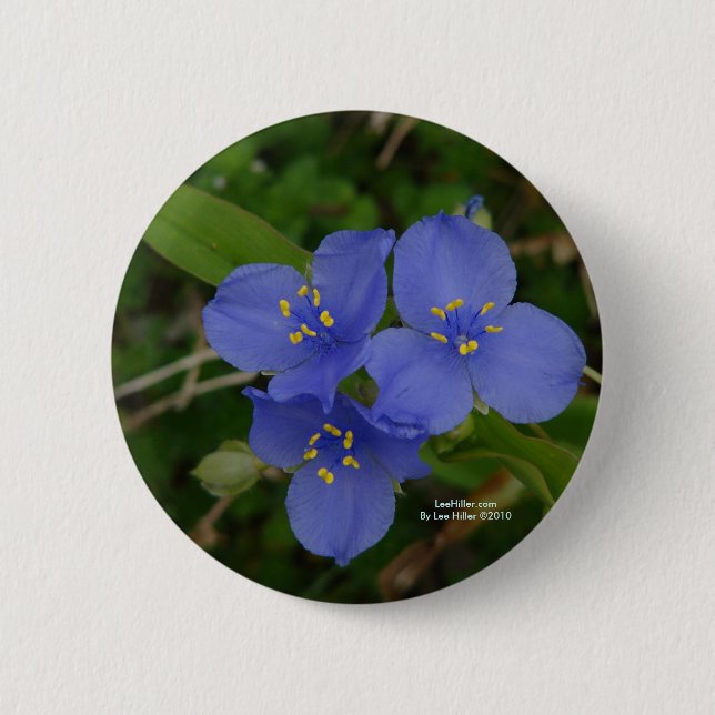 Wildflowers Blue Spiderwort Hot Springs AR Gifts 6 Cm Round Badge (Front)