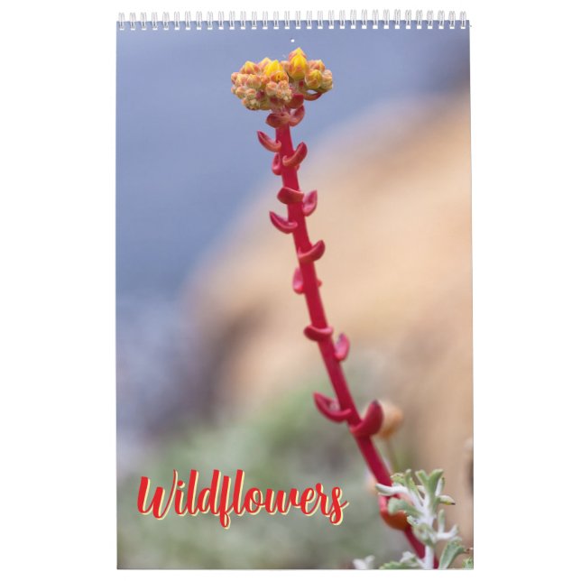 Wildflowers Calendar (Cover)