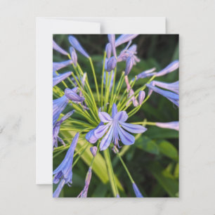 Wildflowers Card