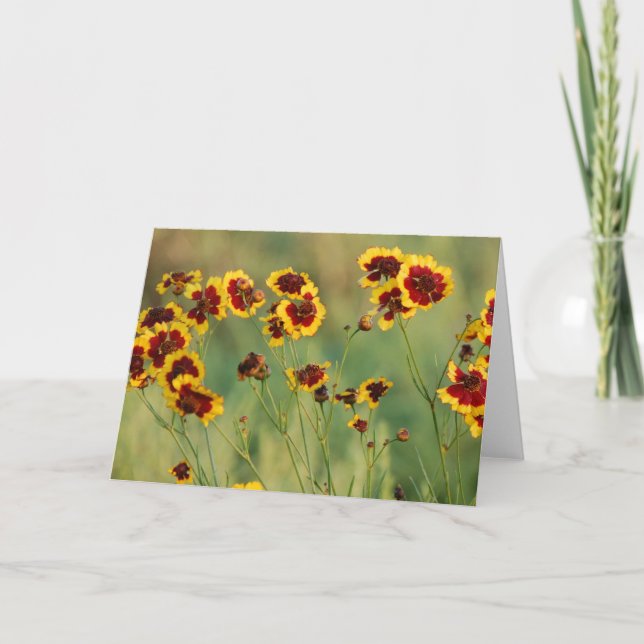 Wildflowers Card (Front)