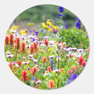 Wildflowers Classic Round Sticker