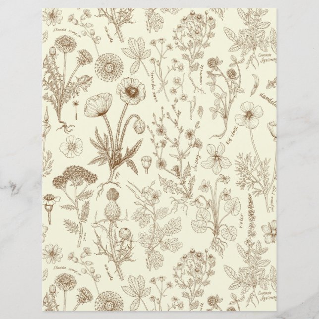 Wildflowers collage/ beige and sepia (Front)