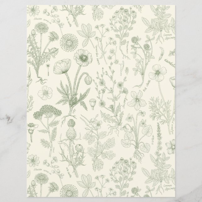 Wildflowers collage/ off white and sage (Front)
