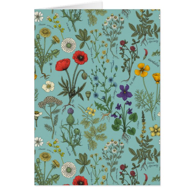 Wildflowers collage on blue (Front)