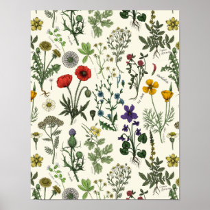 Wildflowers collage poster