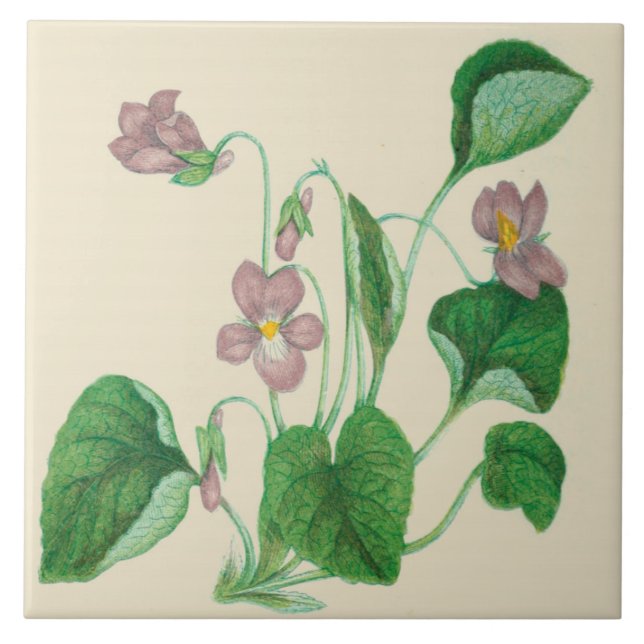 Wildflowers Country Kitchen Ceramic Tile Violets (Front)