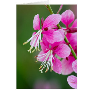 Wildflowers Customisable Text Greeting Card