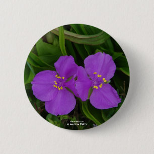 Wildflowers Fuchsia Spiderwort Hot Springs Gifts 6 Cm Round Badge