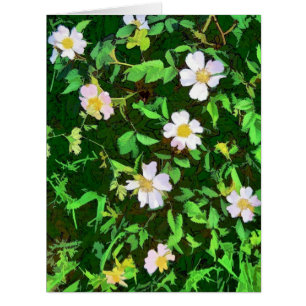 WILDFLOWERS GREETINGS CARD