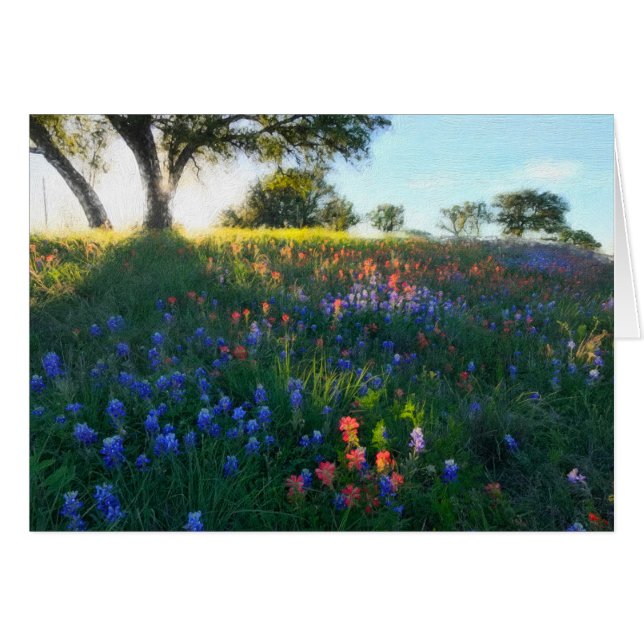 Wildflowers in Evening Light (Front Horizontal)