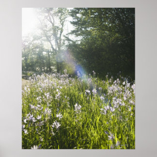 Wildflowers in field poster