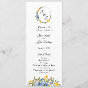 Wildflowers in Primary Colours Program Programme